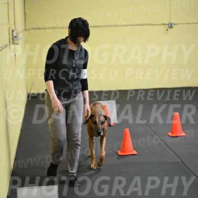 SAT713_0038