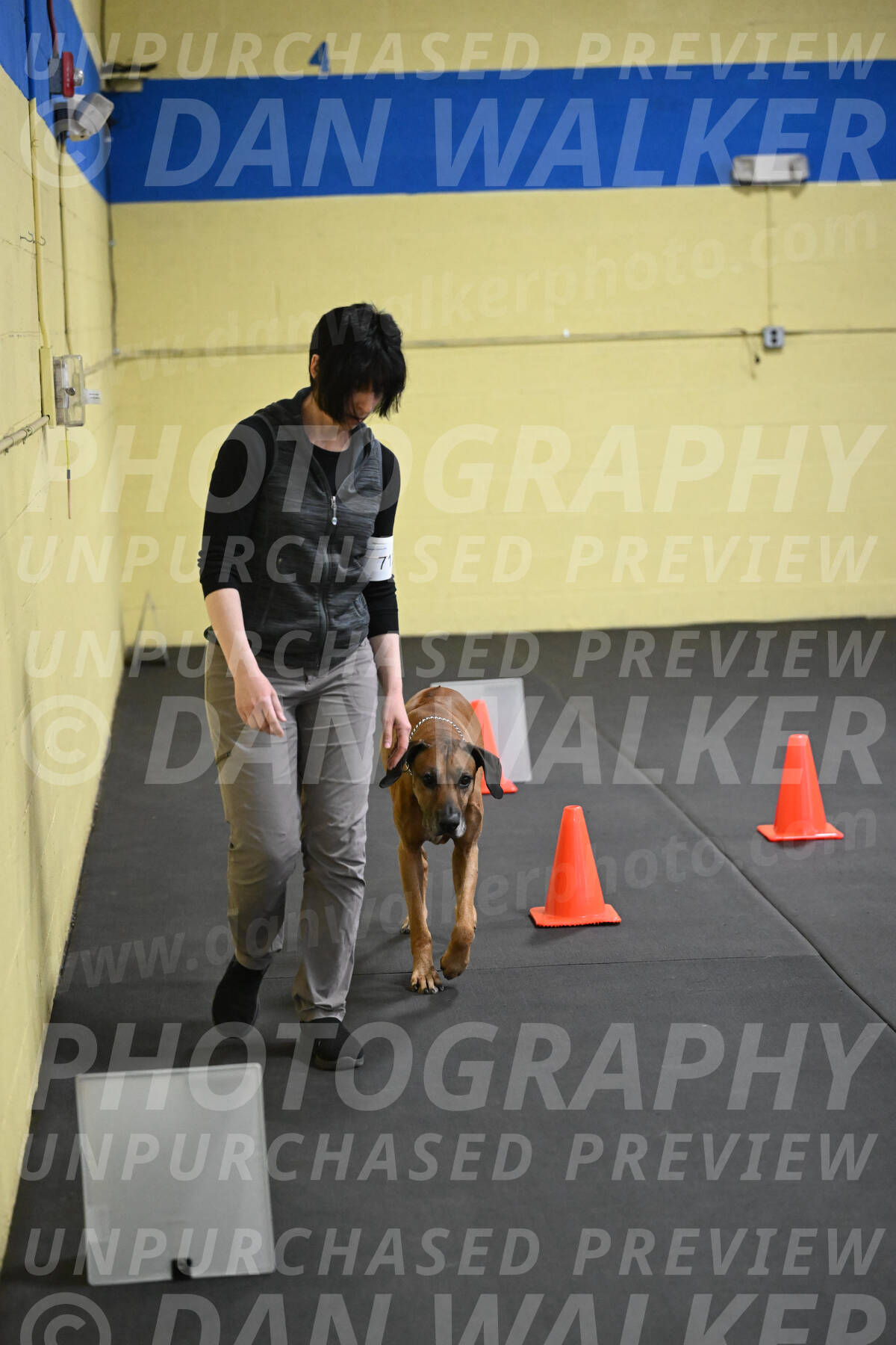 SAT713_0038