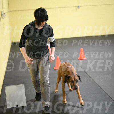 SAT713_0059