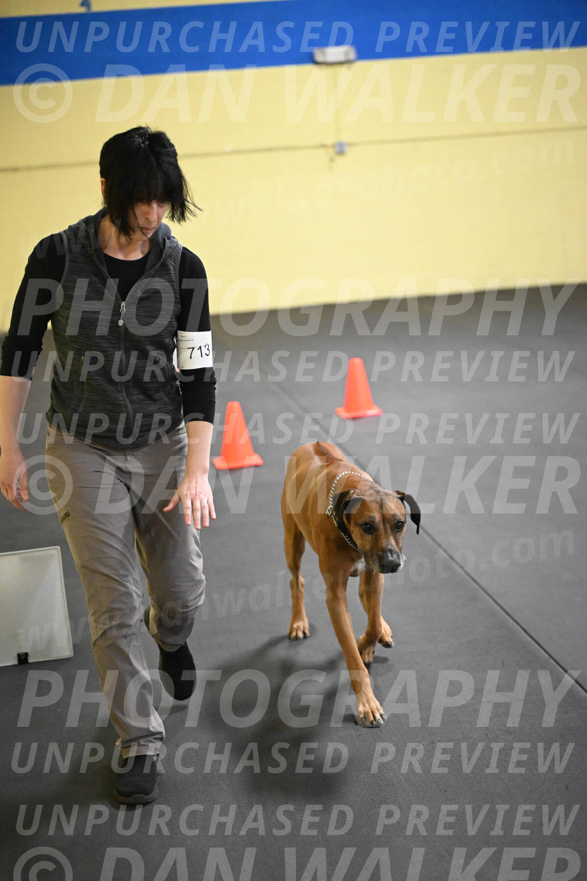 SAT713_0065