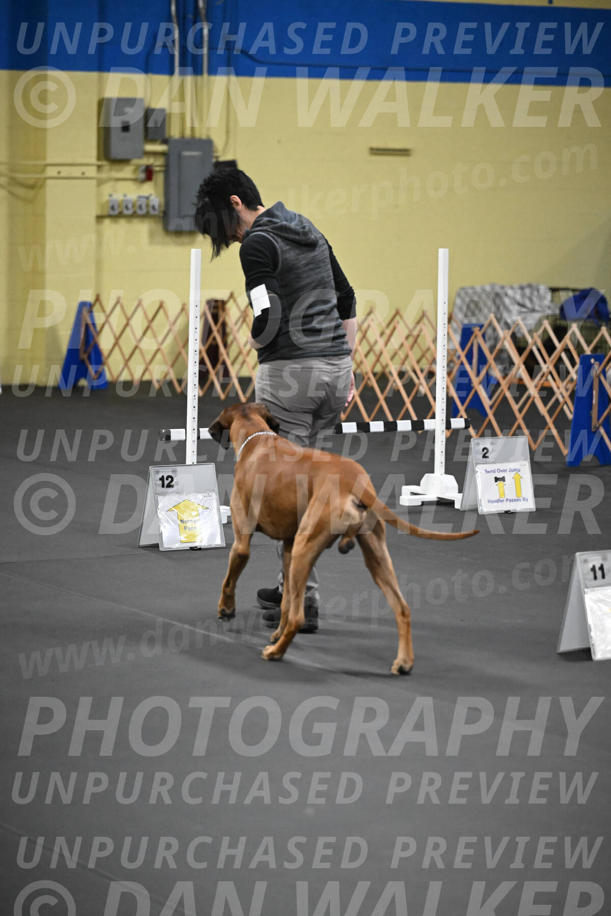SAT713_0066