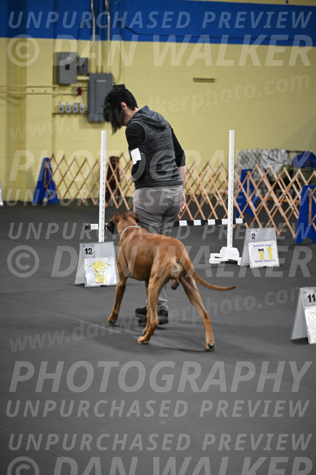 SAT713_0067