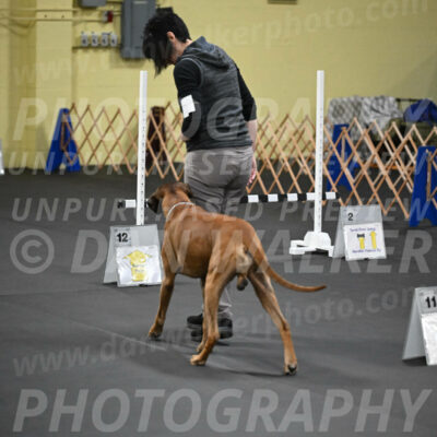 SAT713_0067