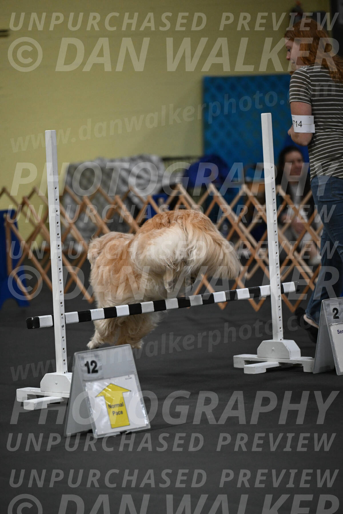 SAT714_0006