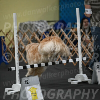SAT714_0006