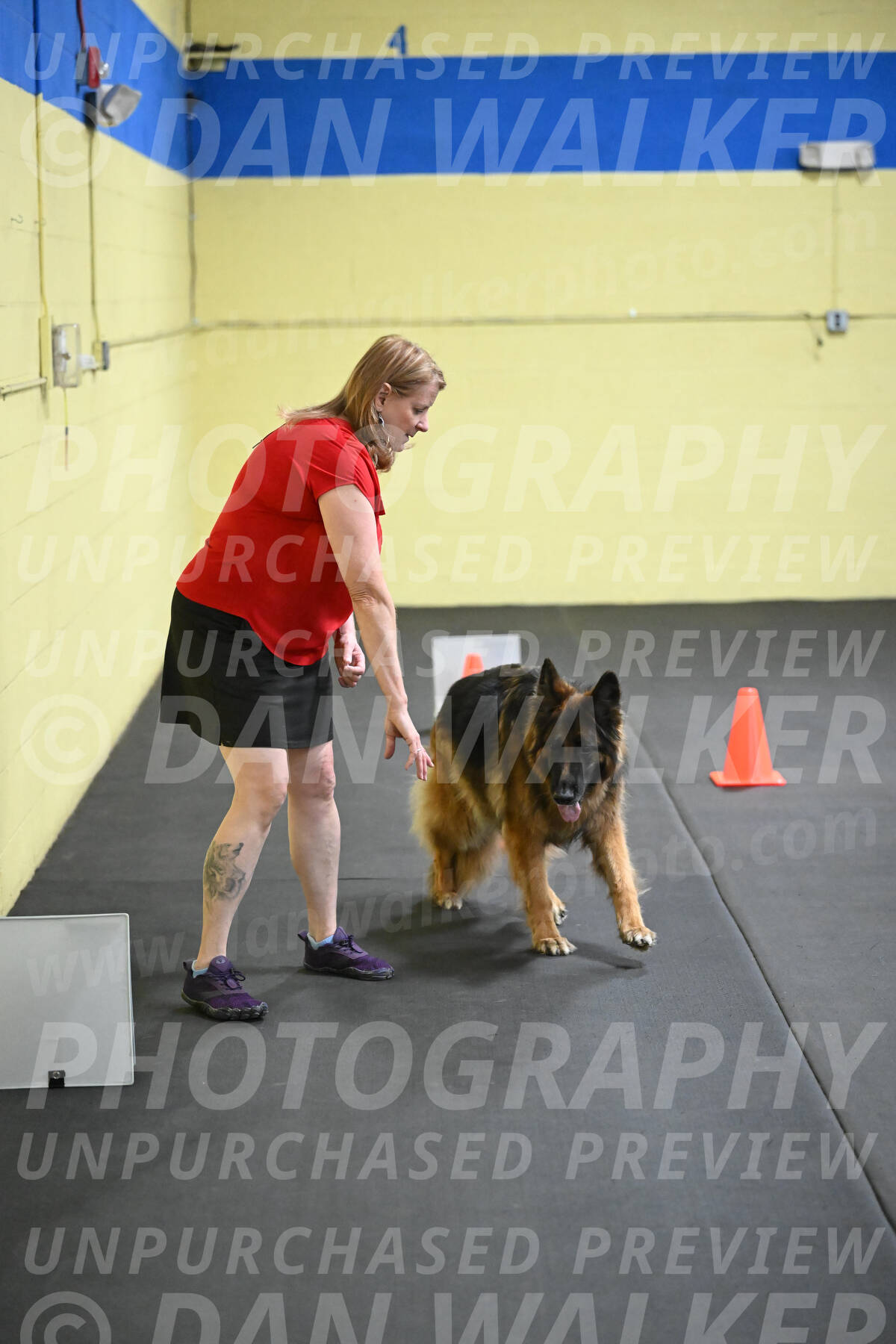 SAT719_0035