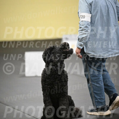 SAT720_0093