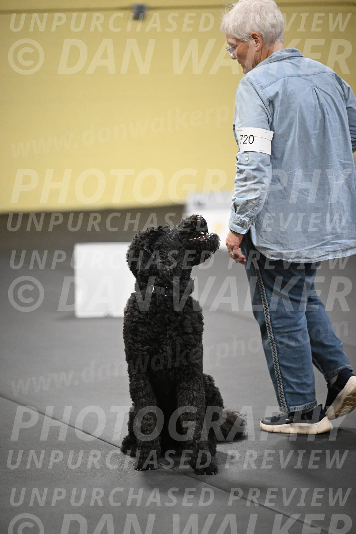 SAT720_0093