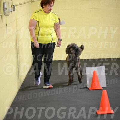 SAT722_0027