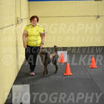 SAT722_0046
