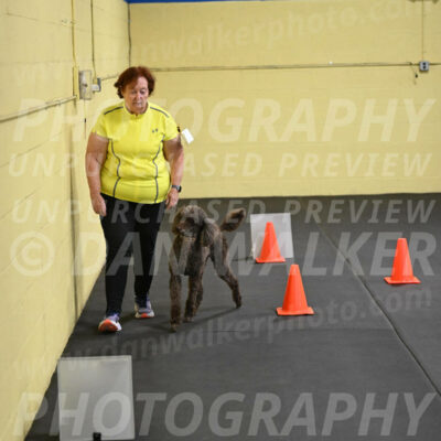 SAT722_0047
