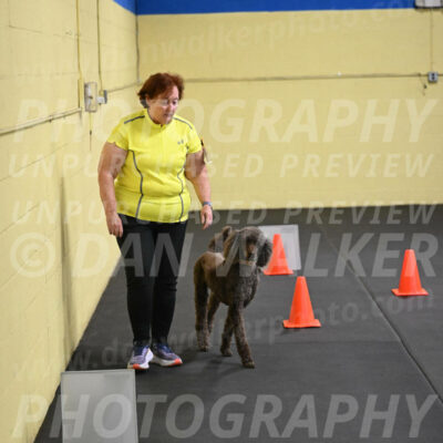 SAT722_0051