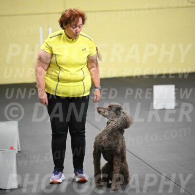 SAT722_0093