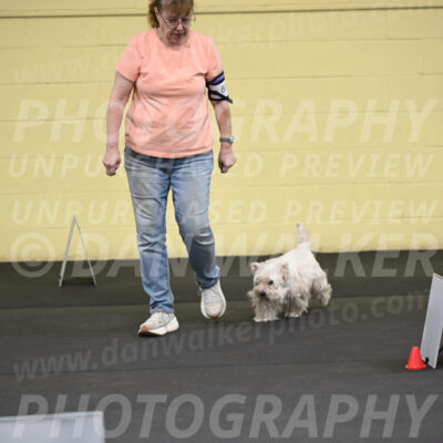 SAT801_0022