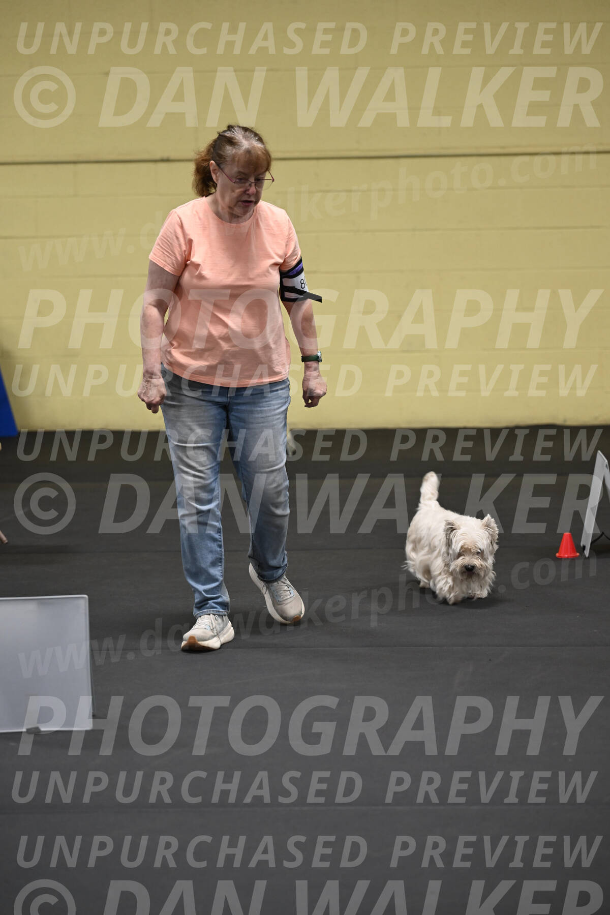SAT801_0035