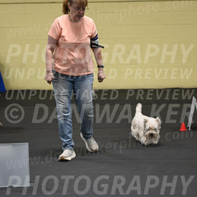SAT801_0035
