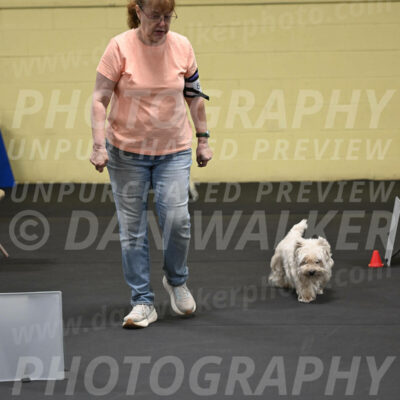 SAT801_0036