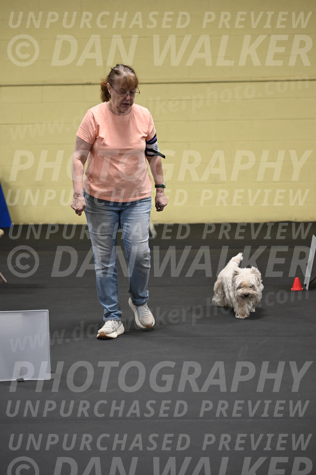 SAT801_0036