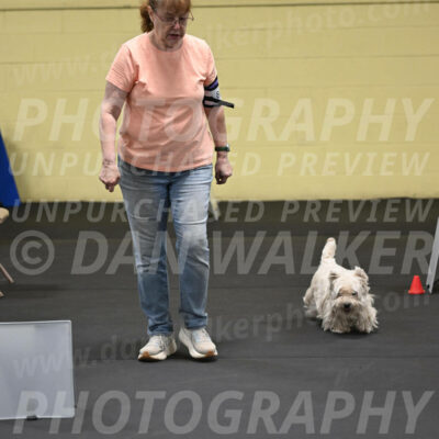 SAT801_0037