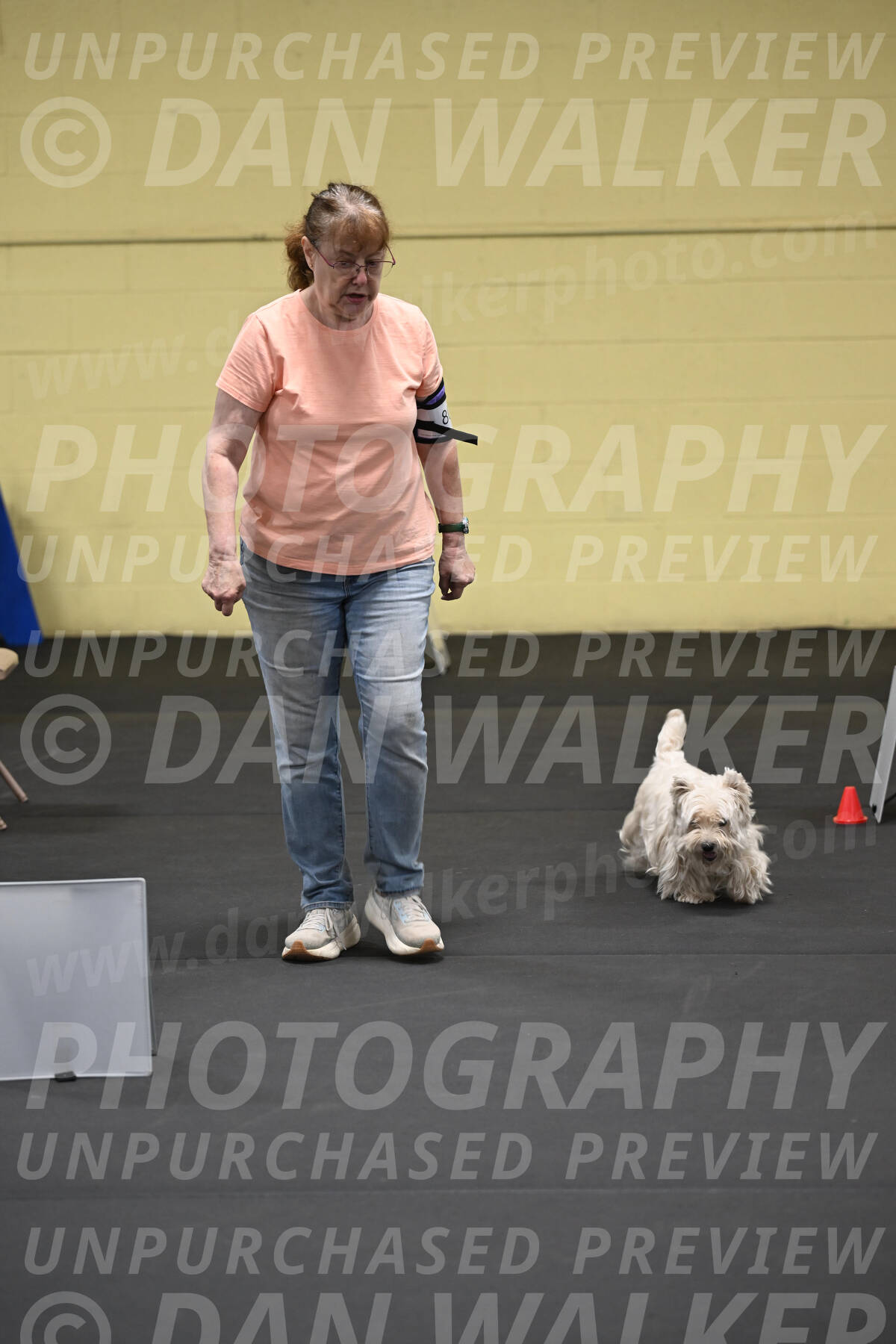 SAT801_0037