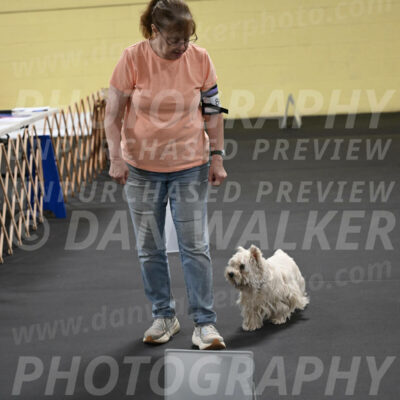 SAT801_0046