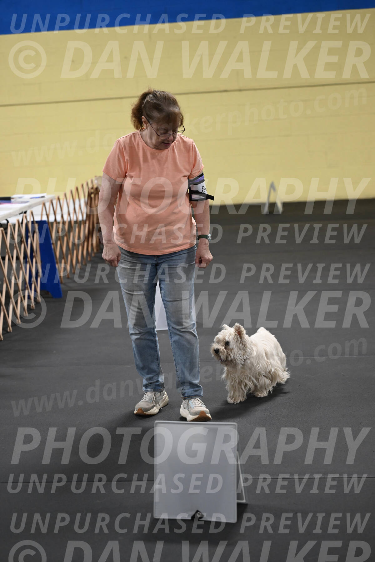 SAT801_0046