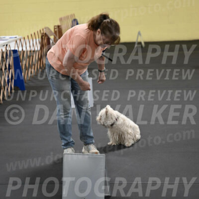SAT801_0056