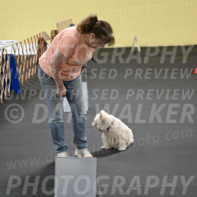 SAT801_0059