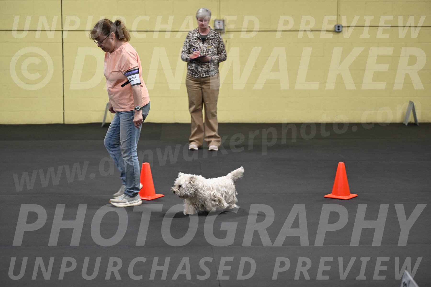 SAT801_0074