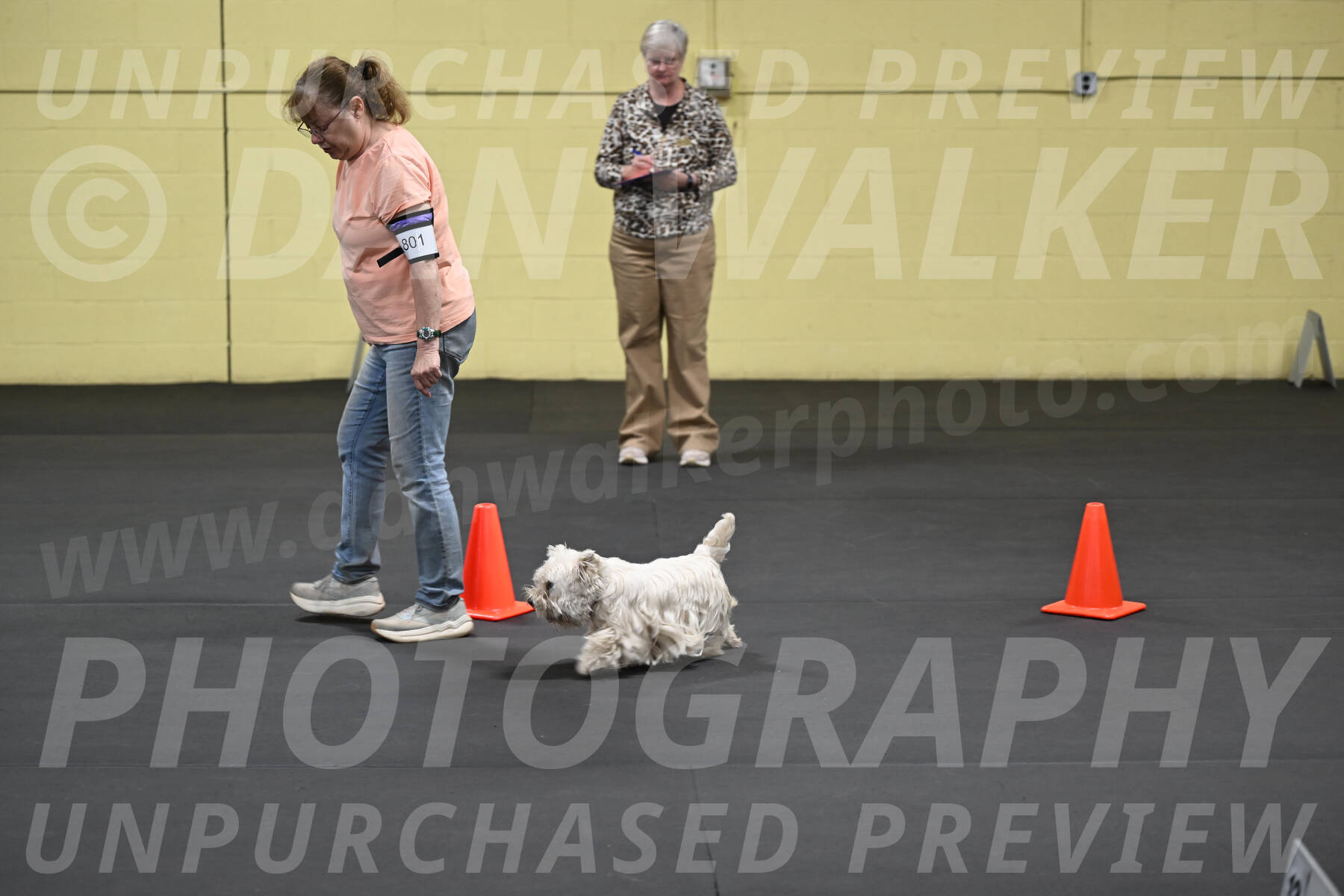 SAT801_0075