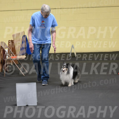 SAT802_0037