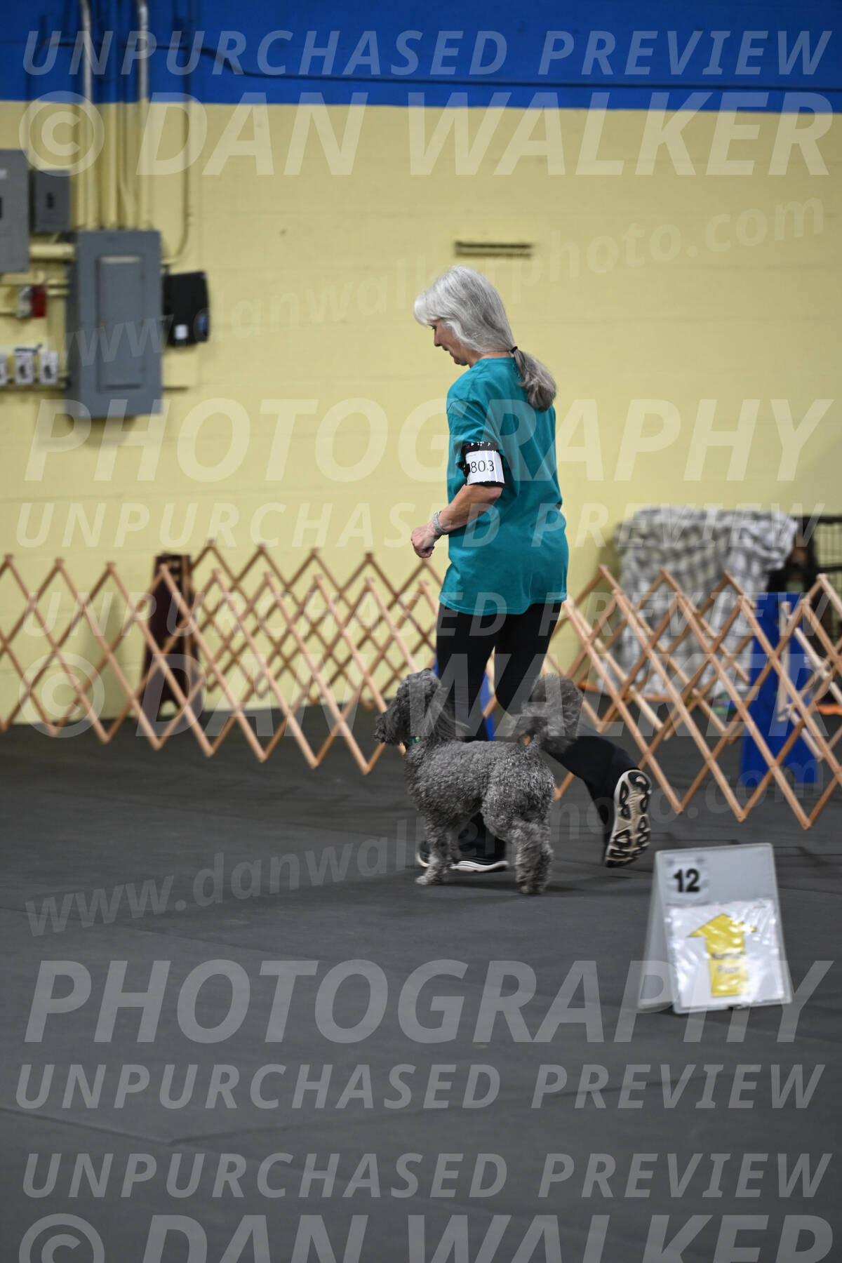 SAT803_0004