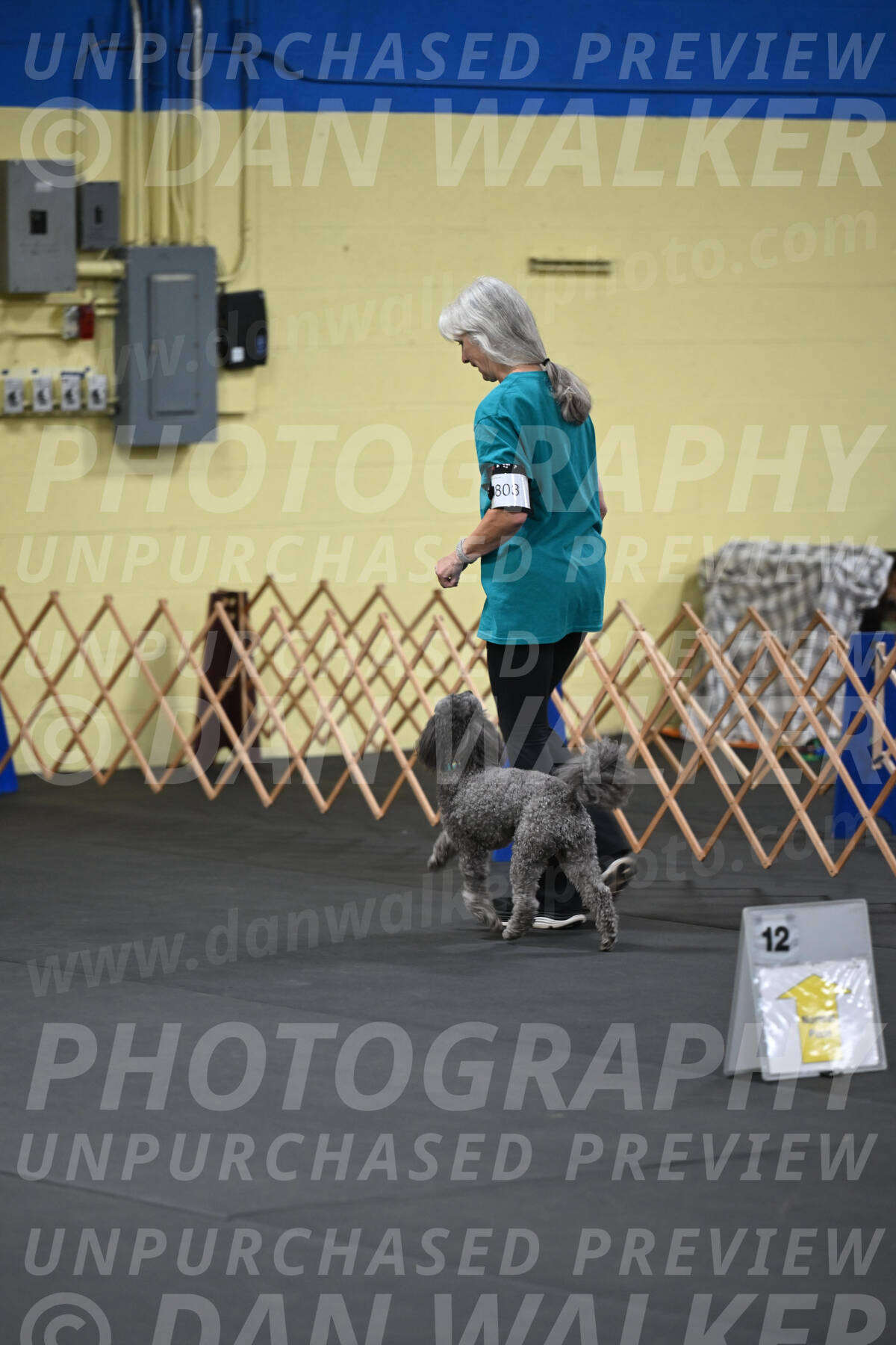 SAT803_0005
