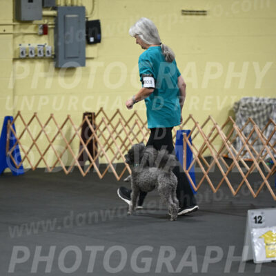 SAT803_0006