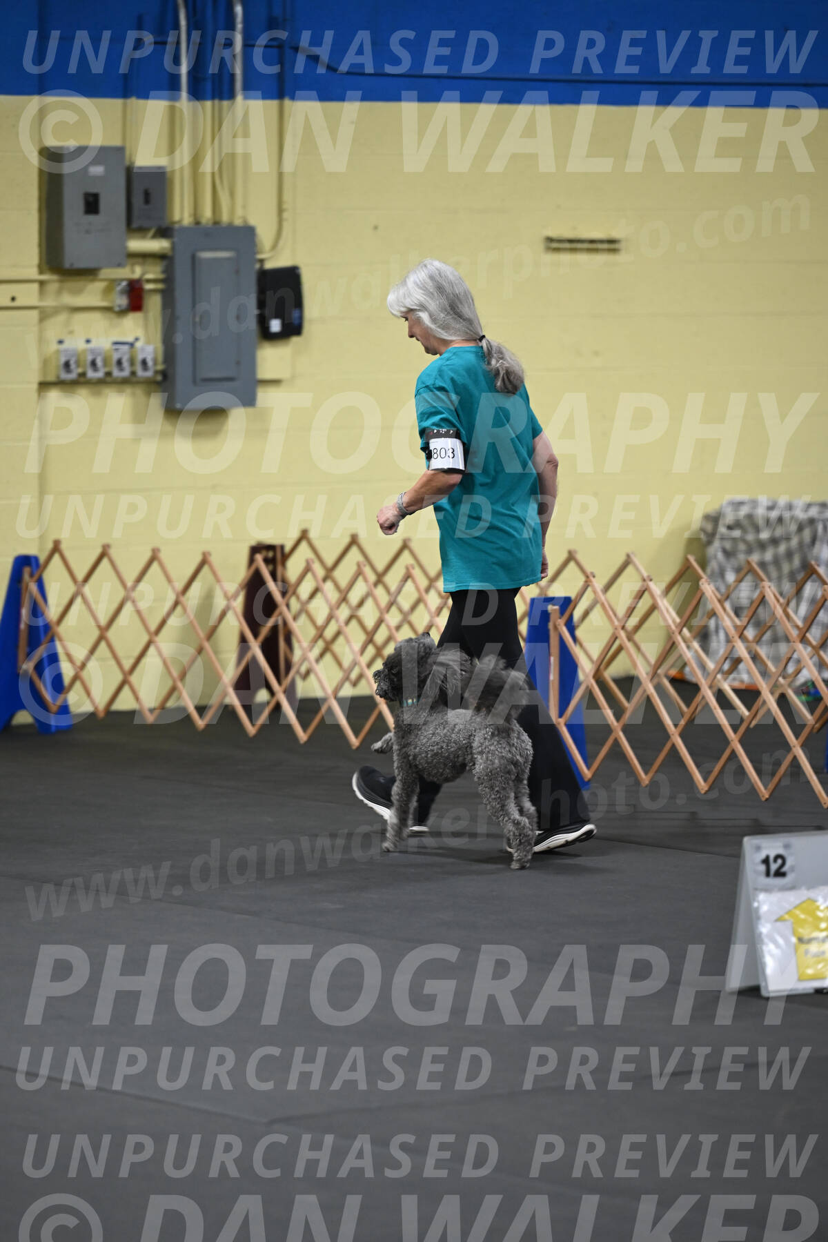 SAT803_0006