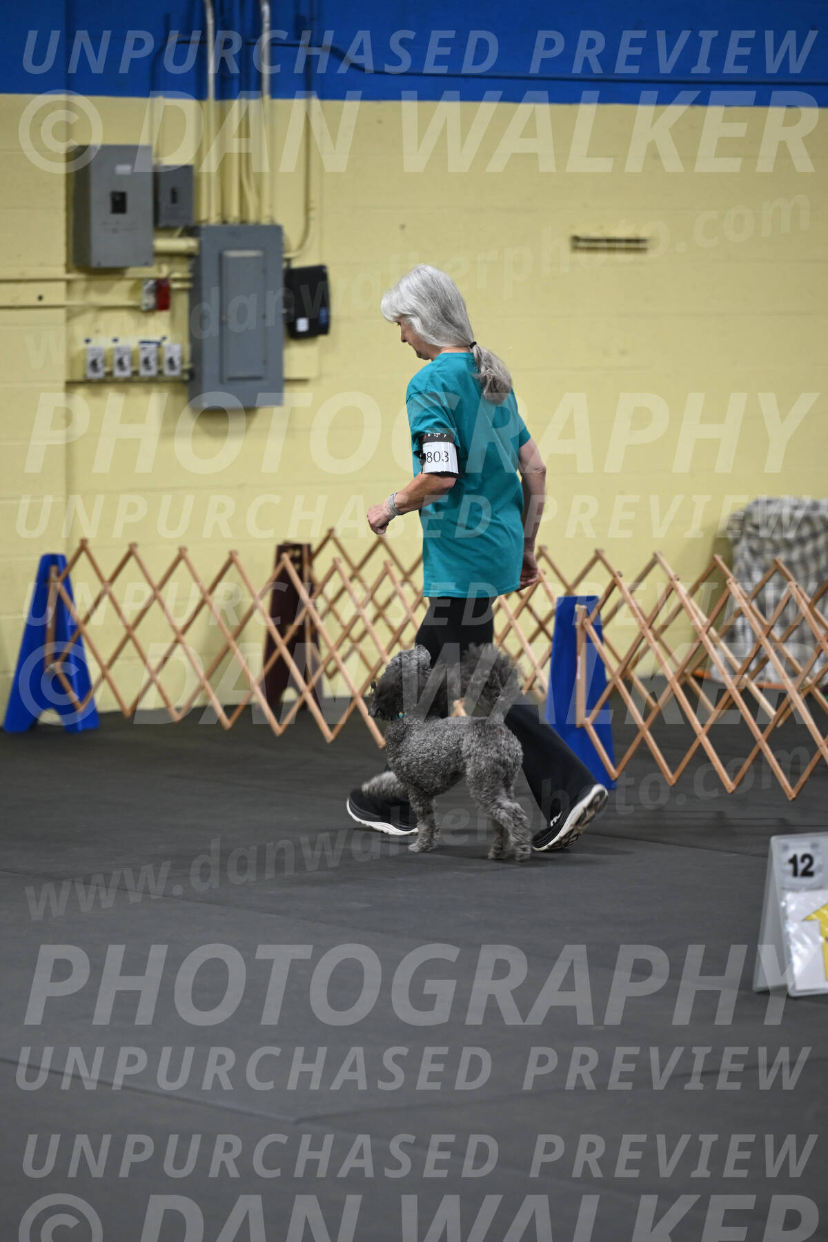 SAT803_0007