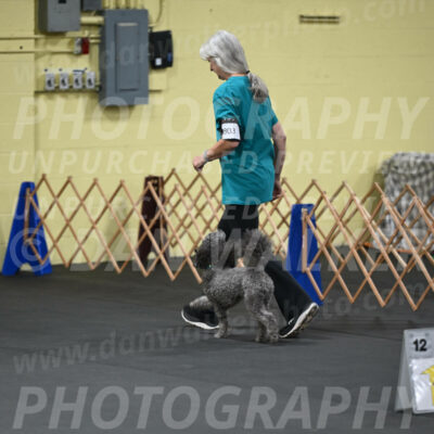 SAT803_0007