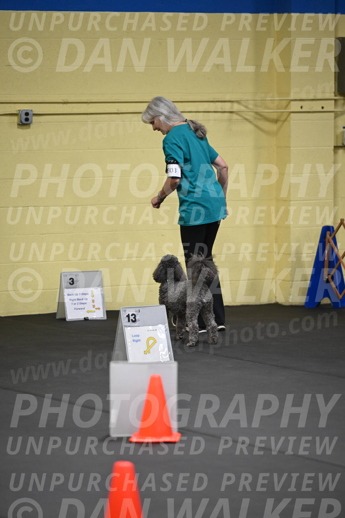 SAT803_0012