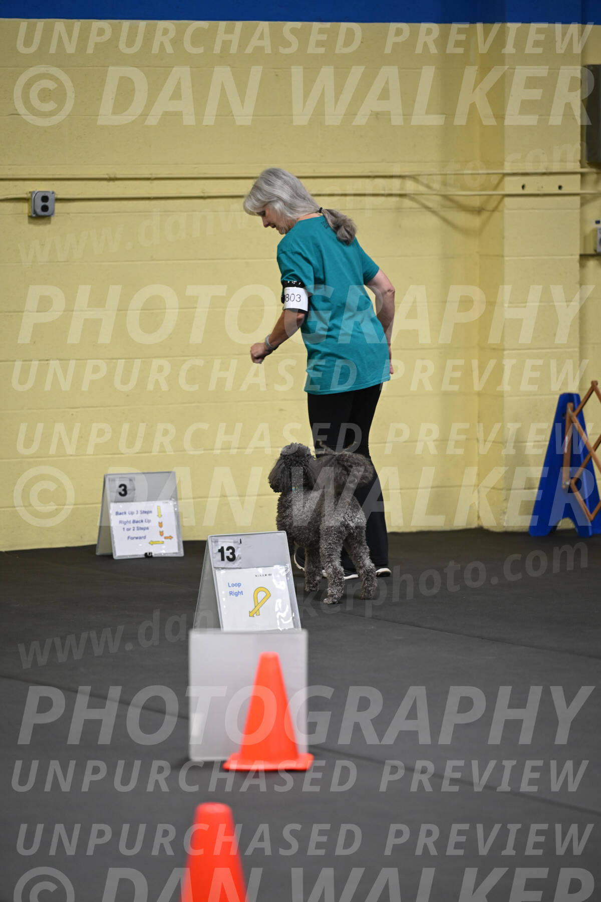 SAT803_0013