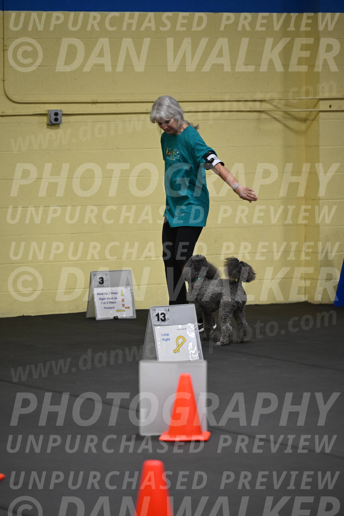 SAT803_0014