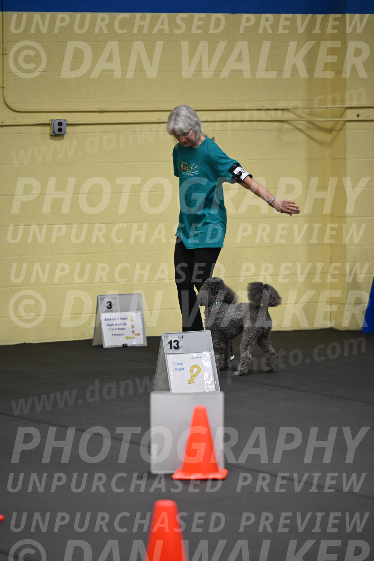 SAT803_0015