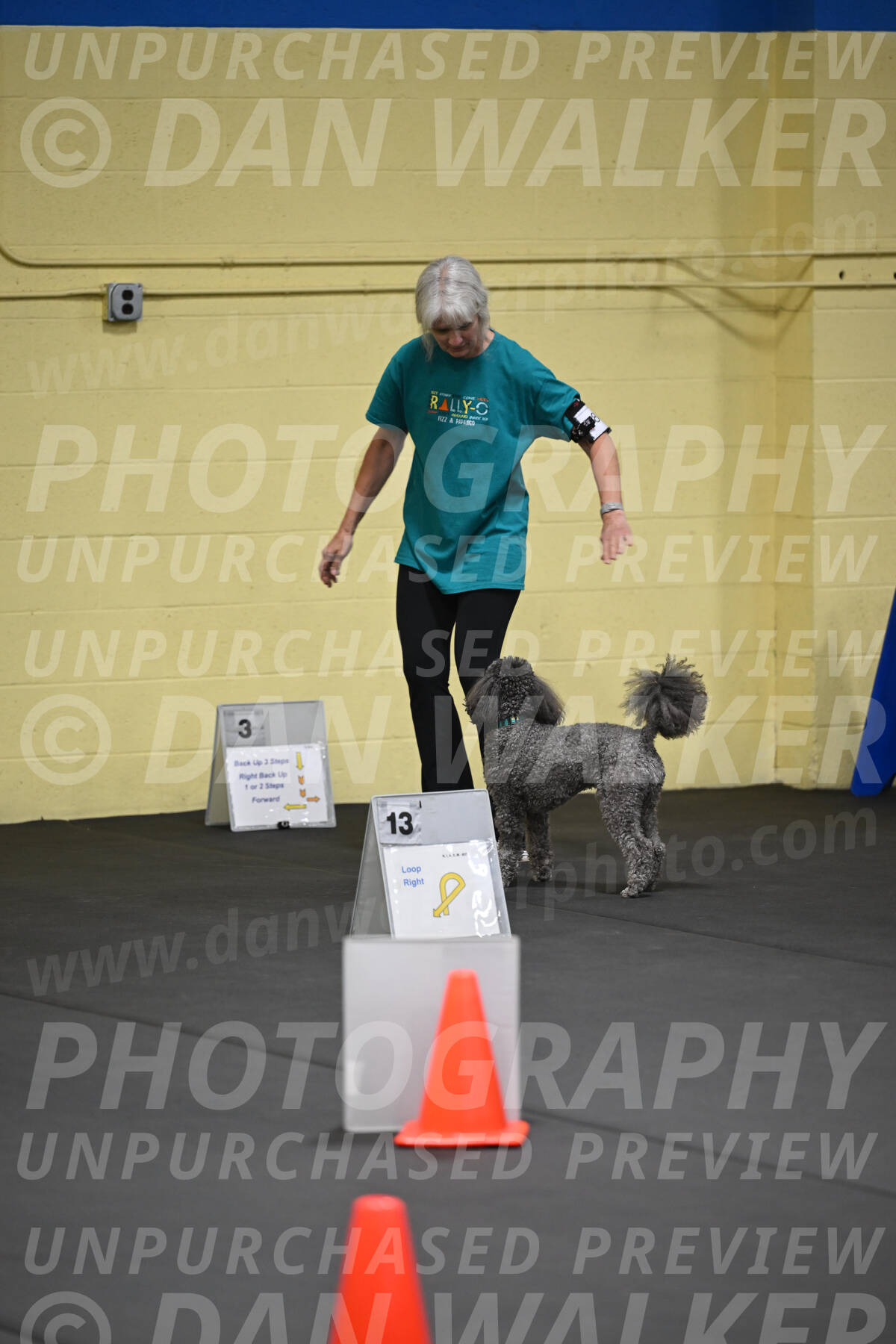 SAT803_0018