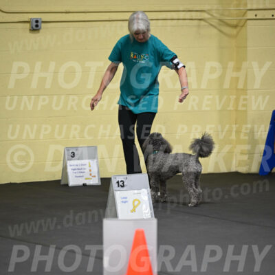SAT803_0019