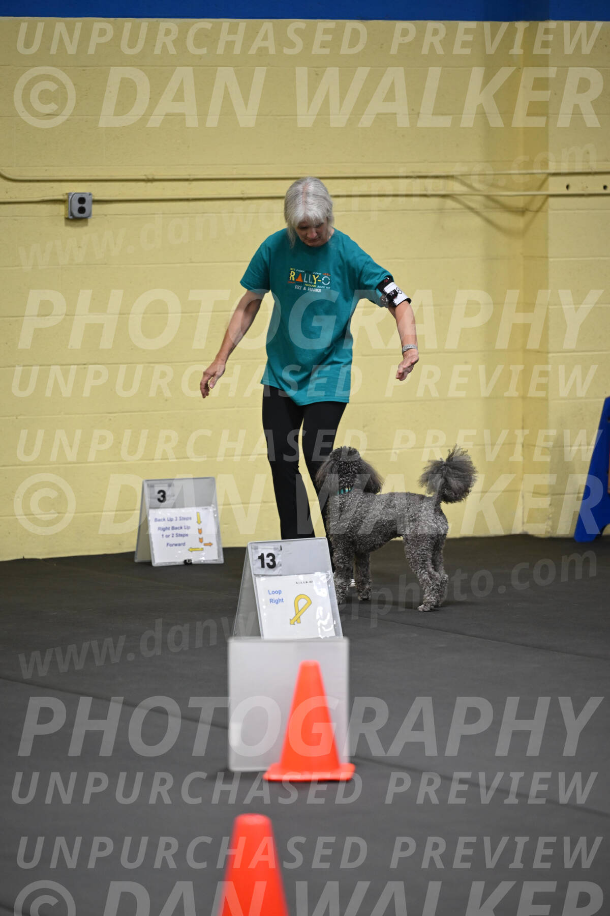 SAT803_0019