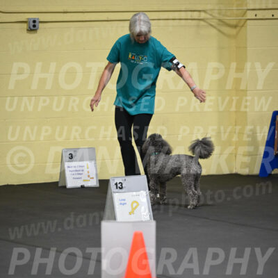 SAT803_0020