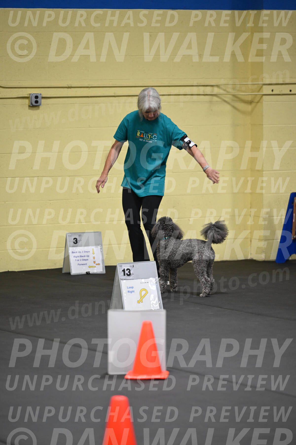 SAT803_0020