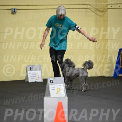 SAT803_0021