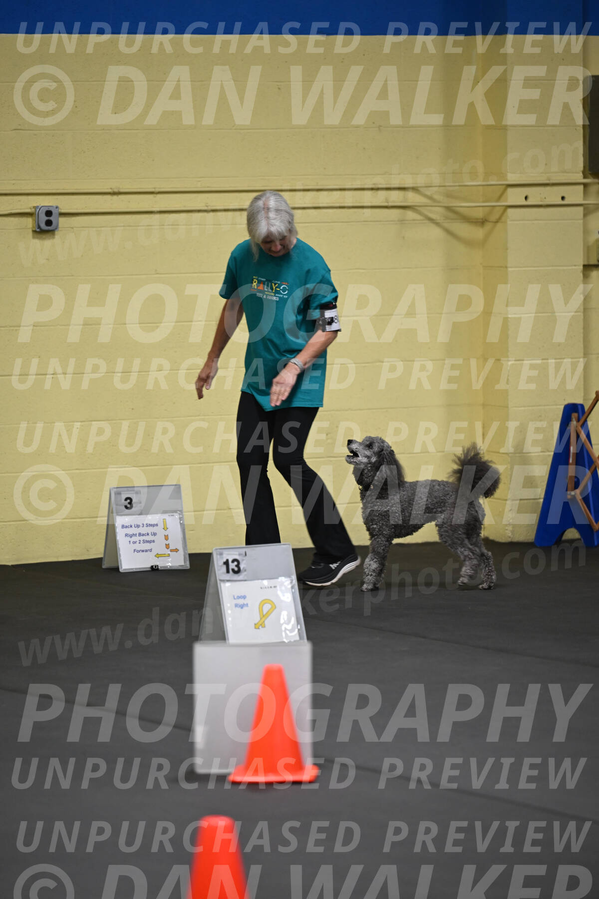 SAT803_0025