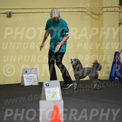 SAT803_0025