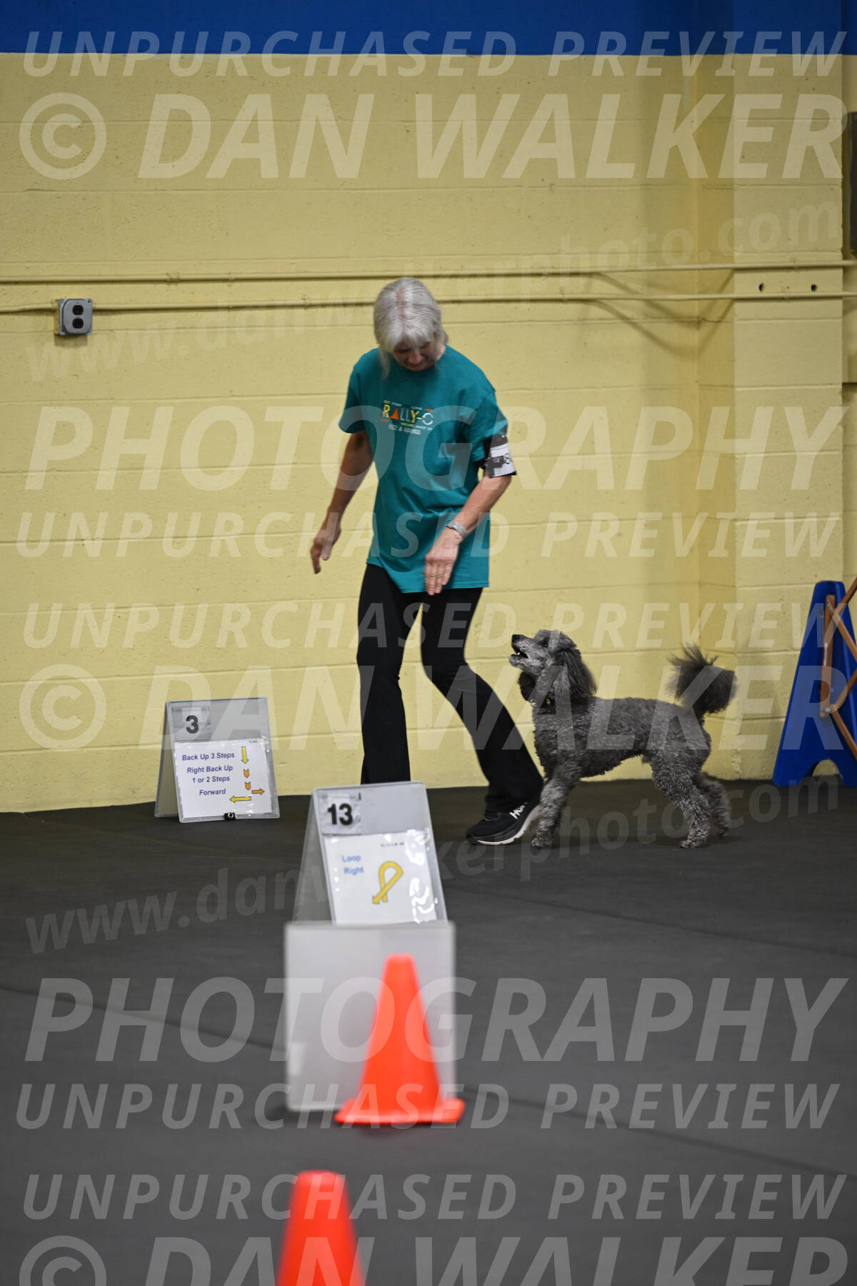 SAT803_0026